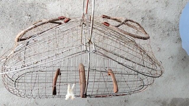 Lồng chim kim loại gỗ đã sử dụng. Mua bán Phụ kiện, Thức ăn, Dịch vụ tại Huyện Thống Nhất Đồng Nai được đăng bởi Nguyễn Hải Đăng hình 1
