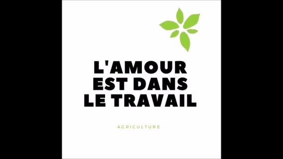 L'amour est dans le métier