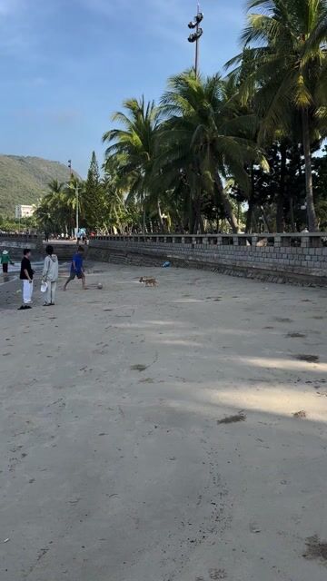 Bé Corgi cái 7 tháng. Mua bán Chó tại Thành phố Thủ Dầu Một Bình Dương được đăng bởi Nguyễn Lộc  hình 1