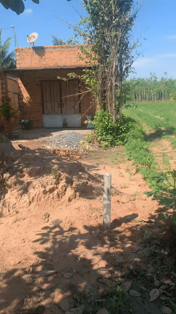 Mua bán Đất Huyện Tân Biên Tây Ninh diện tích 1000 m² giá 800 triệu