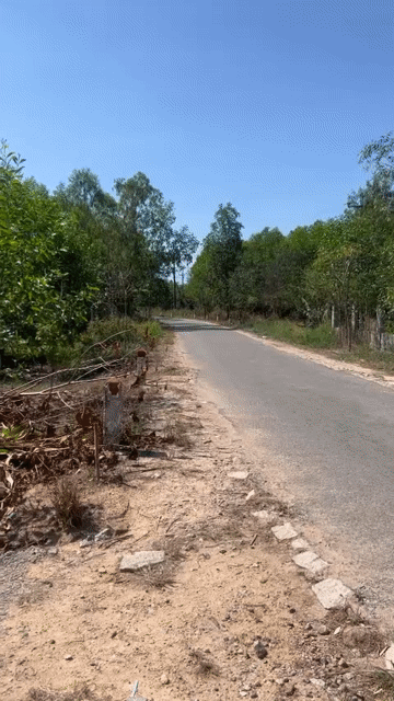 Mua bán Nhà ở Huyện Hàm Tân Bình Thuận diện tích 1000 m² giá 1,28 tỷ