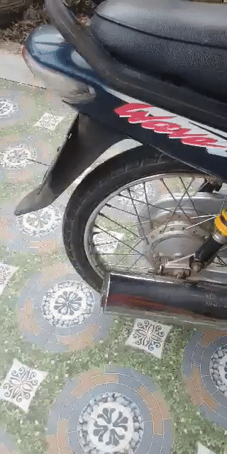 Honda Wave A màu Xanh. Mua bán Xe máy tại Huyện Triệu Sơn Thanh Hóa được đăng bởi media Storm hình 1