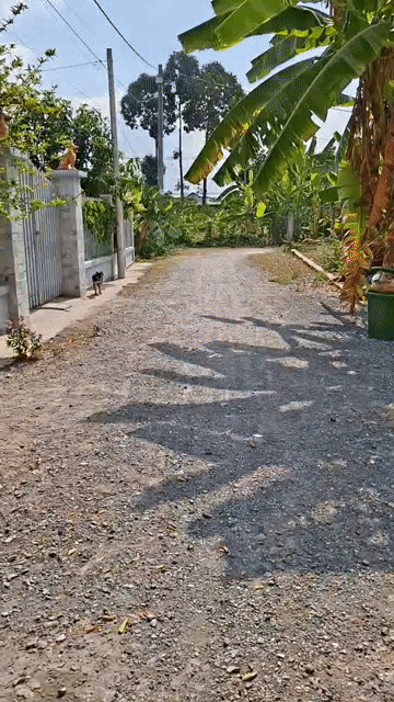 Mua bán Đất Huyện Củ Chi Tp Hồ Chí Minh diện tích 100 m² giá 1,1 tỷ