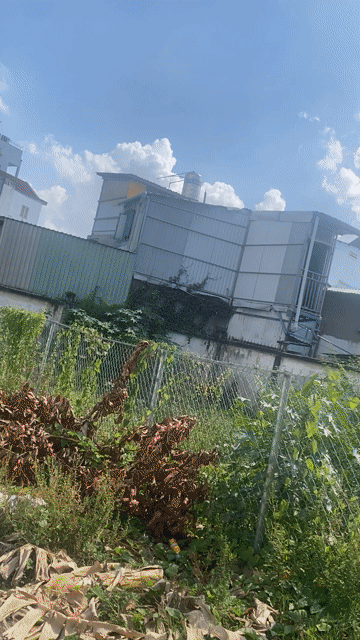 Mua bán Đất Thành phố Thủ Đức Tp Hồ Chí Minh diện tích 65.5998 m² giá 6,999 tỷ