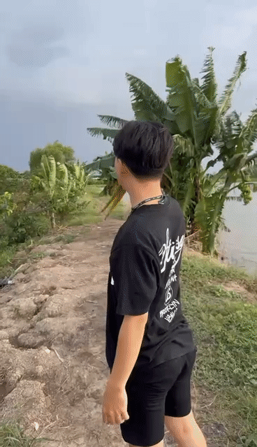 Vẹt cảnh biết nói màu vàng xanh. Mua bán Chim tại Thị xã Bến Cát Bình Dương được đăng bởi Tên chưa cung cấp hình 1