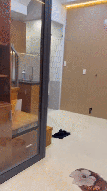 Cho thuê Nhà ở Quận Phú Nhuận Tp Hồ Chí Minh diện tích 15 m² giá 12 triệu/tháng
