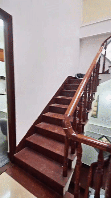 Cho thuê Căn hộ Chung cư Quận 3 Tp Hồ Chí Minh diện tích 42 m² giá 7,3 triệu/tháng