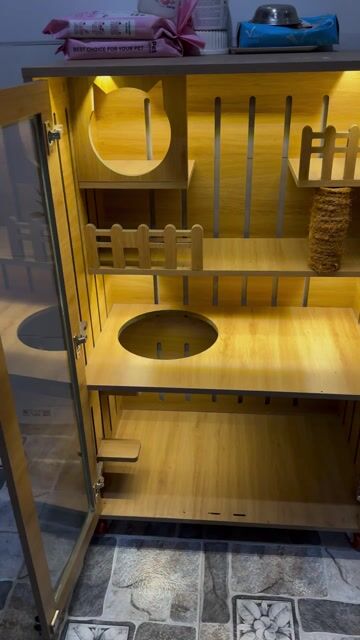 Nhà cho mèo gỗ Vàng gỗ mới. Mua bán Phụ kiện, Thức ăn, Dịch vụ tại Quận 12 Tp Hồ Chí Minh được đăng bởi Vy Nguyễn hình 1