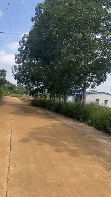 Mua bán Đất Huyện Đắk R'Lấp Đắk Nông diện tích 500 m² giá 600 triệu