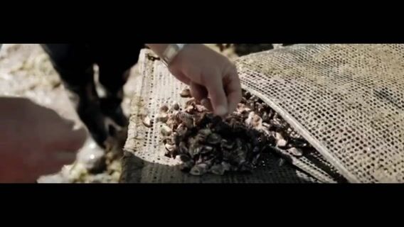 Ostréiculteur : un métier exigeant et passionnant