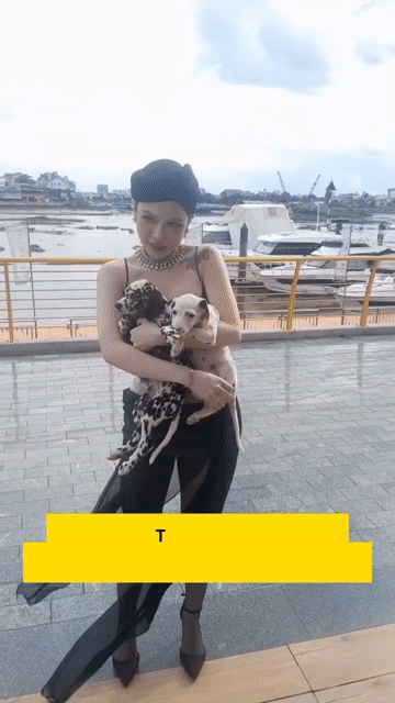Tìm nhà cho 2 bé đốm chụp hình cùng người mẫu. Mua bán Chó tại Thành phố Thủ Đức Tp Hồ Chí Minh được đăng bởi Nguyễn Huy hình 1