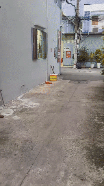 Cho thuê Nhà ở Quận Gò Vấp Tp Hồ Chí Minh diện tích 25 m² giá 10 triệu/tháng