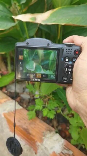 Máy ảnh Canon SX500 IS. Mua bán Máy ảnh, Máy quay tại Huyện Đức Hòa Long An được đăng bởi Nia hình 1