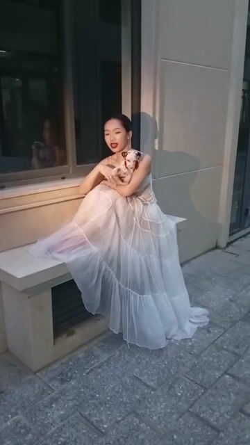 Bé đốm Đực cực xinh, chuyên chụp mẫu ảnh. Mua bán Chó tại Huyện Củ Chi Tp Hồ Chí Minh được đăng bởi Nguyễn Huy hình 1