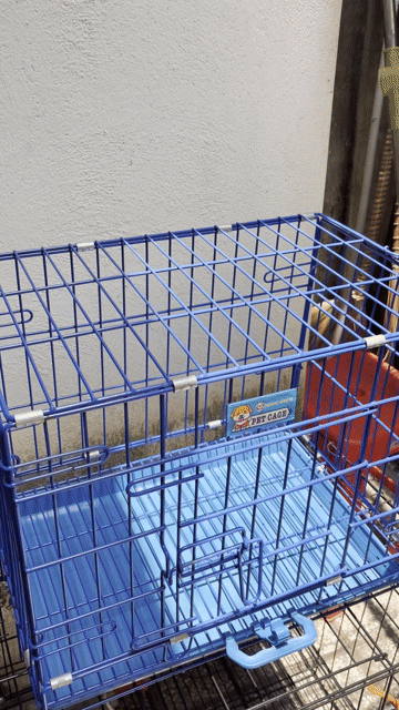 Lồng thú cưng 50x30x40cm. Mua bán Phụ kiện, Thức ăn, Dịch vụ tại Huyện Hòa Thành Tây Ninh được đăng bởi Thu Trang hình 1