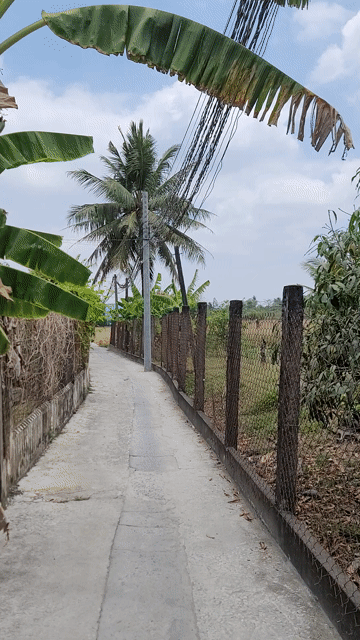 Mua bán Đất Huyện Cần Giuộc Long An diện tích 1197 m² giá 2,8 tỷ