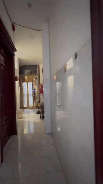 Cho thuê Căn hộ Chung cư Quận Tân Phú Tp Hồ Chí Minh diện tích 25 m² giá 3,8 triệu/tháng