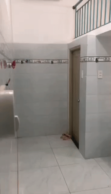 Cho thuê Phòng trọ Thành phố Thủ Đức Tp Hồ Chí Minh diện tích 22 m² giá 3 triệu/tháng