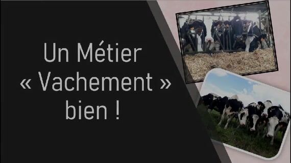 Un métier 'vachement' bien