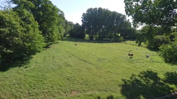 La PASSION est dans le pré