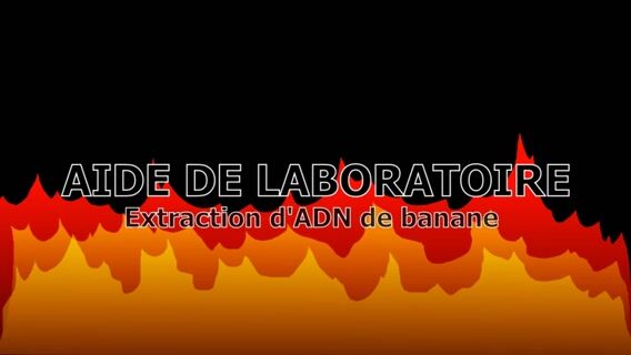 Dans la peau d'un aide de laboratoire