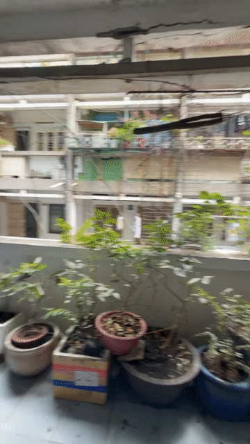 Cho thuê Căn hộ Chung cư Quận 10 Tp Hồ Chí Minh diện tích 54 m² giá 9 triệu/tháng