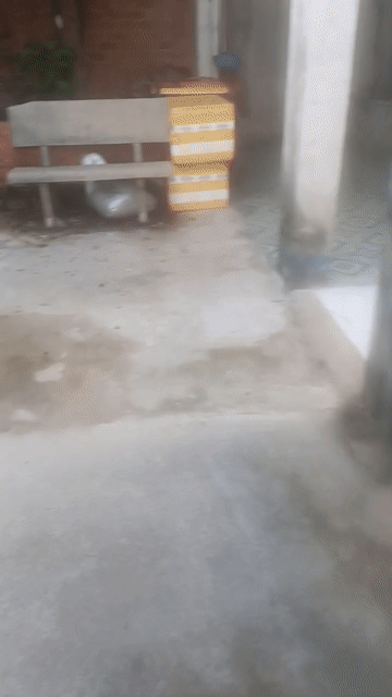 Mua bán Nhà ở Huyện Củ Chi Tp Hồ Chí Minh diện tích 75 m² giá 900 triệu