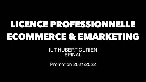 La licence Pro Ecommerce et Emarketing Alternance ou formation initiale