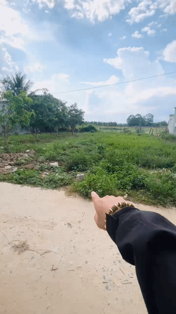 Mua bán Đất Huyện Cam Lâm Khánh Hòa diện tích 147 m² giá 810 triệu