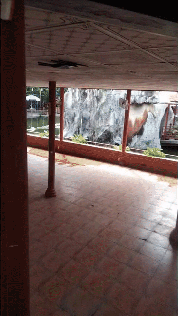 Cho thuê Văn phòng, Mặt bằng kinh doanh Thành phố Thủ Đức Tp Hồ Chí Minh diện tích 2000 m² giá 50 triệu/tháng