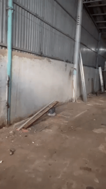 Cho thuê Đất Quận 12 Tp Hồ Chí Minh diện tích 195 m² giá 10 triệu/tháng