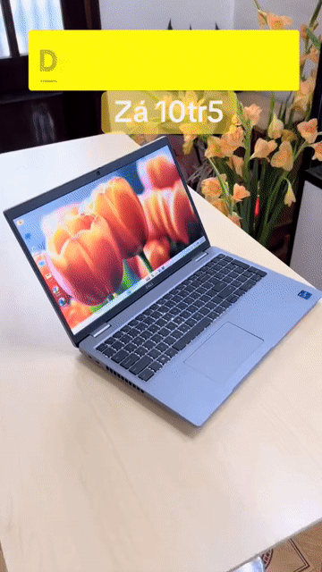 Dell Precision 3561 i7-11850H mạnh 16GB/256GB Mỹ. Mua bán Laptop tại Quận Thanh Xuân Hà Nội được đăng bởi Vũ Vân Hoàng hình 1
