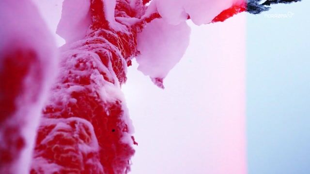 Norrøna tamok collection - Backcountry freeride - Norrøna®