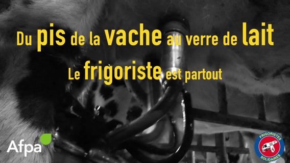 La petite frigorette