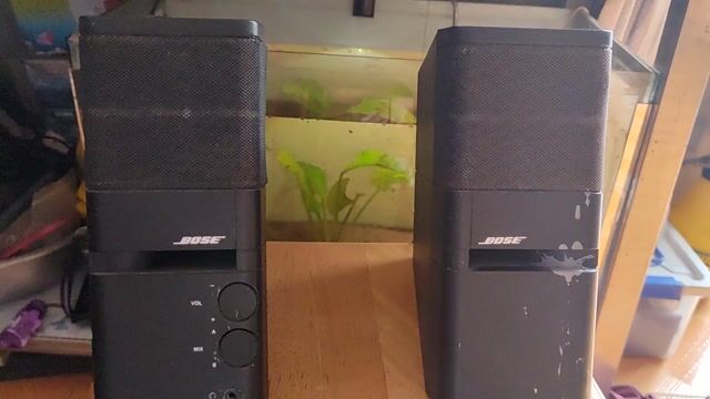 Loa máy tính Bose MediaMate Đen. Mua bán Tivi, Âm thanh tại Huyện Bình Chánh Tp Hồ Chí Minh được đăng bởi Tú Ân hình 1