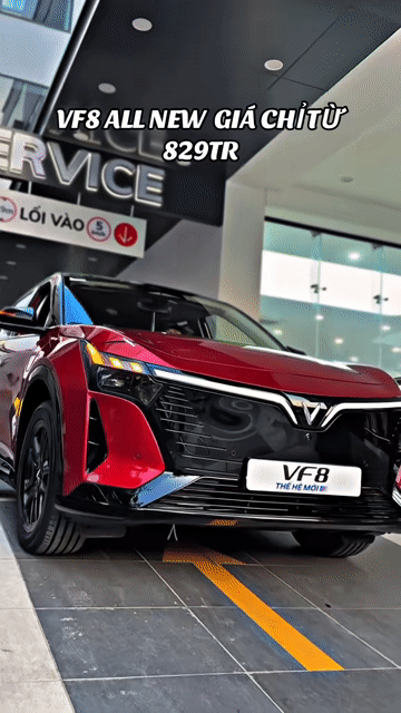 VF 8 _Vay đến 100% Cho CÁ NHÂN & DOANH NGHIỆP. Mua bán Ô tô tại Thành phố Phan Rang-Tháp Chàm Ninh Thuận được đăng bởi VINFAST LANDMARK hình 1