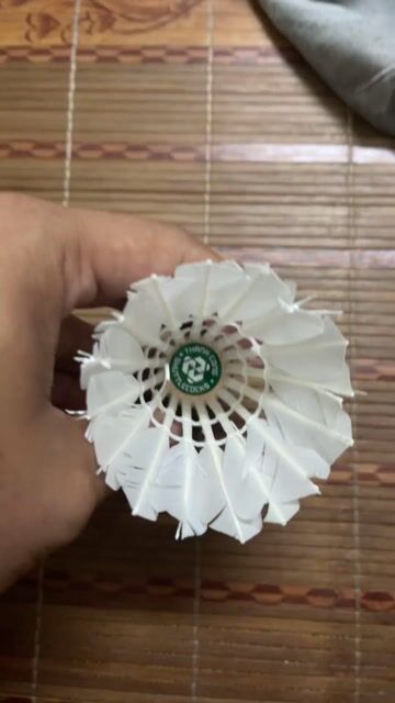 quả  cầu long Thành công cũ. Mua bán Đồ thể thao, Dã ngoại tại Huyện Thanh Trì Hà Nội được đăng bởi Ngọc Lâm hình 1