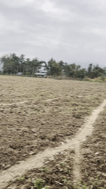 Mua bán Đất Huyện Hòa Vang Đà Nẵng diện tích 7000 m² giá 5,6 tỷ