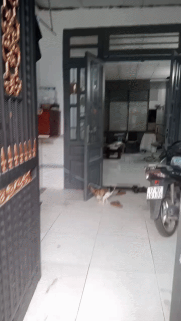 Cho thuê Nhà ở Quận 12 Tp Hồ Chí Minh diện tích 72 m² giá 6 triệu/tháng
