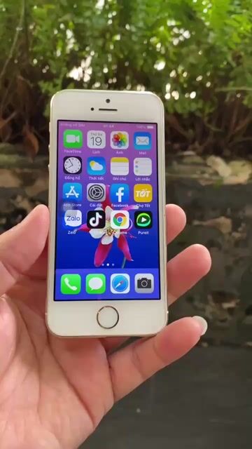 Apple iPhone 5S 16GB Vàng VN/A 99%. Mua bán Điện thoại tại Thành phố Thuận An Bình Dương được đăng bởi Kim Long hình 1