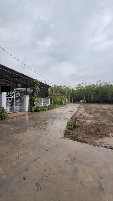 Mua bán Đất Huyện Hớn Quản Bình Phước diện tích 897.2999 m² giá 900 triệu