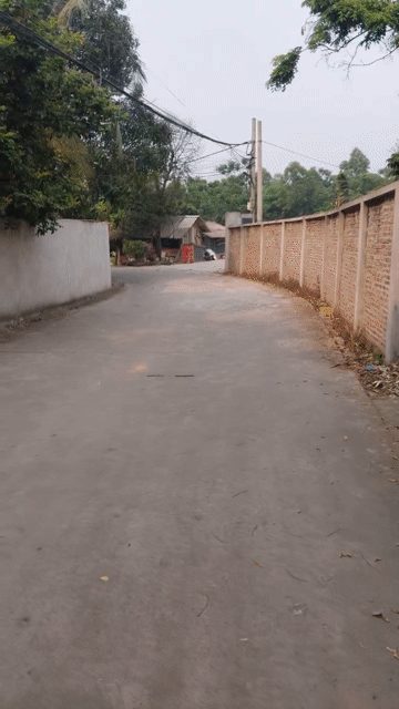 Mua bán Nhà ở Huyện Lâm Thao Phú Thọ diện tích 231 m² giá 1,85 tỷ
