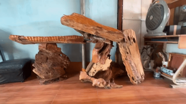 Gỗ ghép lan đẹp. Mua bán Cây cảnh, đồ trang trí tại Quận 12 Tp Hồ Chí Minh được đăng bởi Mr Thông hình 1