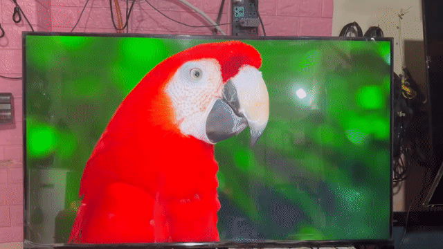 Android Tivi Sony 4K 55 inch XR-55X90J. Mua bán Tivi, Âm thanh tại Quận Tân Bình Tp Hồ Chí Minh được đăng bởi hồ hoàng triều hình 1