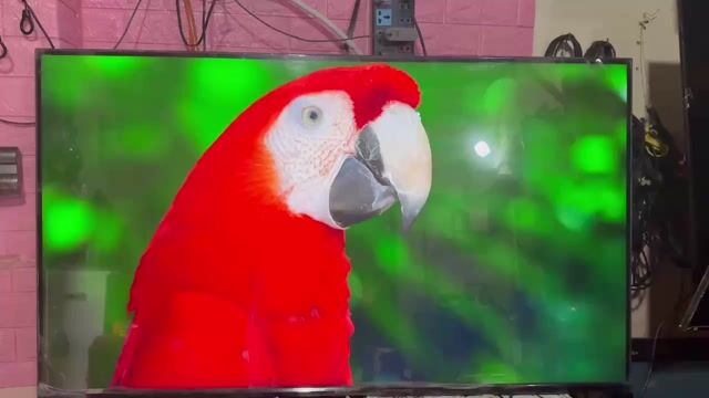 Android Tivi Sony 4K 55 inch XR-55X90J. Mua bán Tivi, Âm thanh tại Quận Tân Bình Tp Hồ Chí Minh được đăng bởi hồ hoàng triều hình 1
