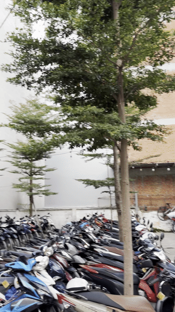 Mua bán Nhà ở Quận Gò Vấp Tp Hồ Chí Minh diện tích 914.5 m² giá 106 tỷ