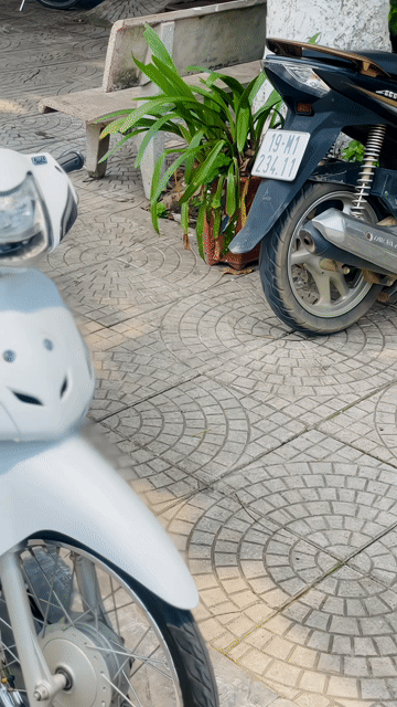 Wave 50cc. Mua bán Xe máy tại Huyện Cẩm Khê Phú Thọ được đăng bởi Vu Tung hình 1