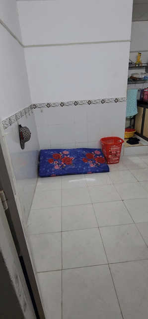 Cho thuê Phòng trọ Quận Tân Phú Tp Hồ Chí Minh diện tích 15 m² giá 2,9 triệu/tháng