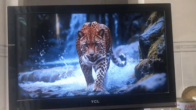 Tivi TCL 32E5200 Đã sử dụng. Mua bán Tivi, Âm thanh tại Thành phố Biên Hòa Đồng Nai được đăng bởi HOÀNG hình 1