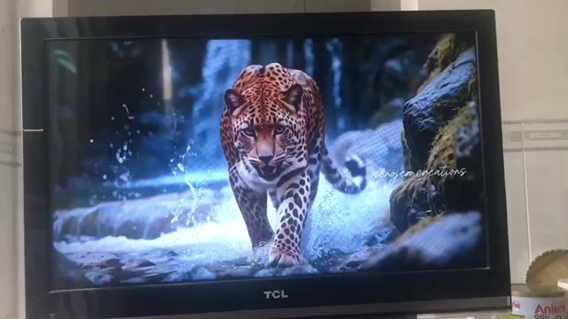 Tivi TCL 32E5200 Đã sử dụng. Mua bán Tivi, Âm thanh tại Thành phố Biên Hòa Đồng Nai được đăng bởi HOÀNG hình 1